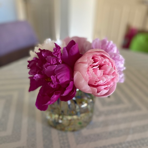 Meet your Posher, Carolyn - Picture 1 of 1